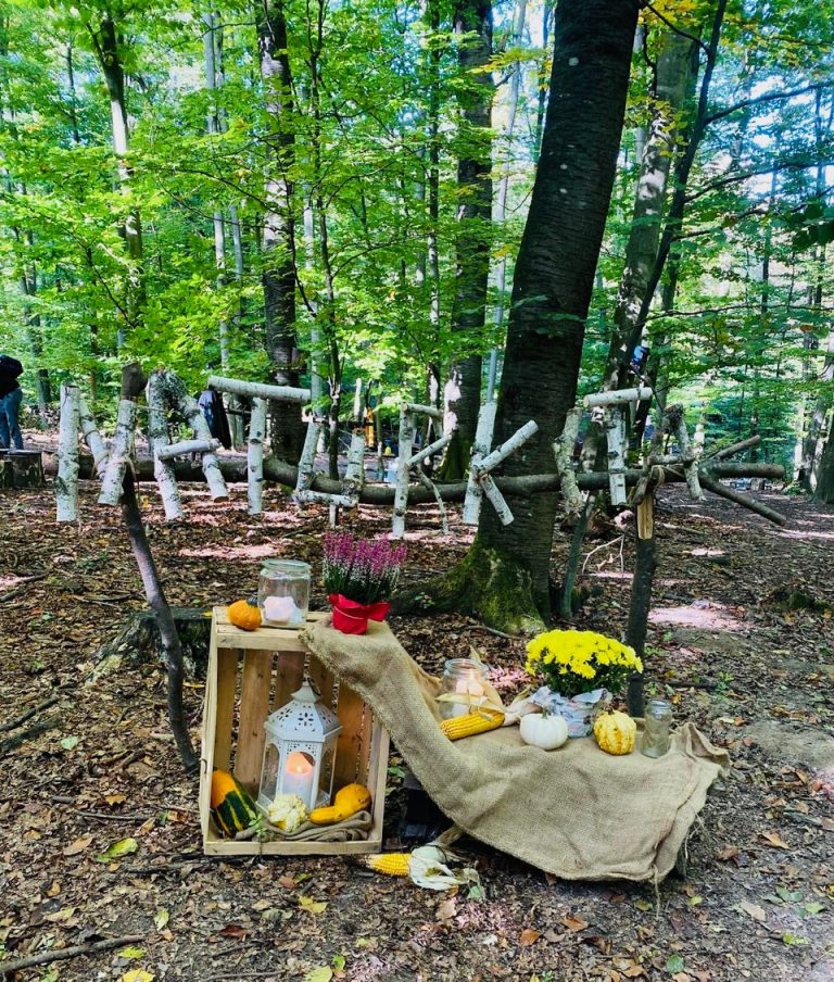 Drei Jahre Naturkita Buschpfad – Ein Fest voller Sonnenschein und Lachen!