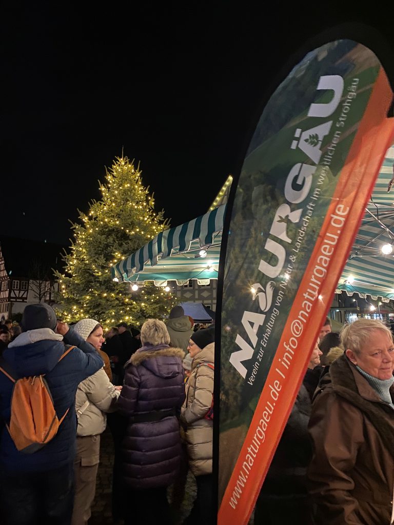 Erleuchten des großen Weihnachtsbaumes auf dem Alten Schulplatz in Hemmingen