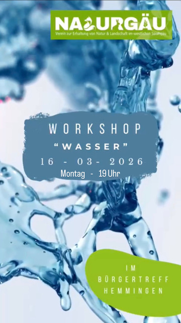 Wasser – unsere unsichtbare Lebensader