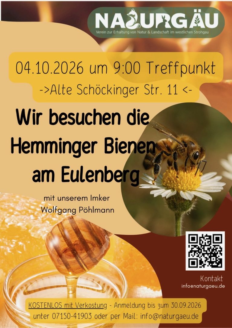 Zu Besuch bei den Bienen